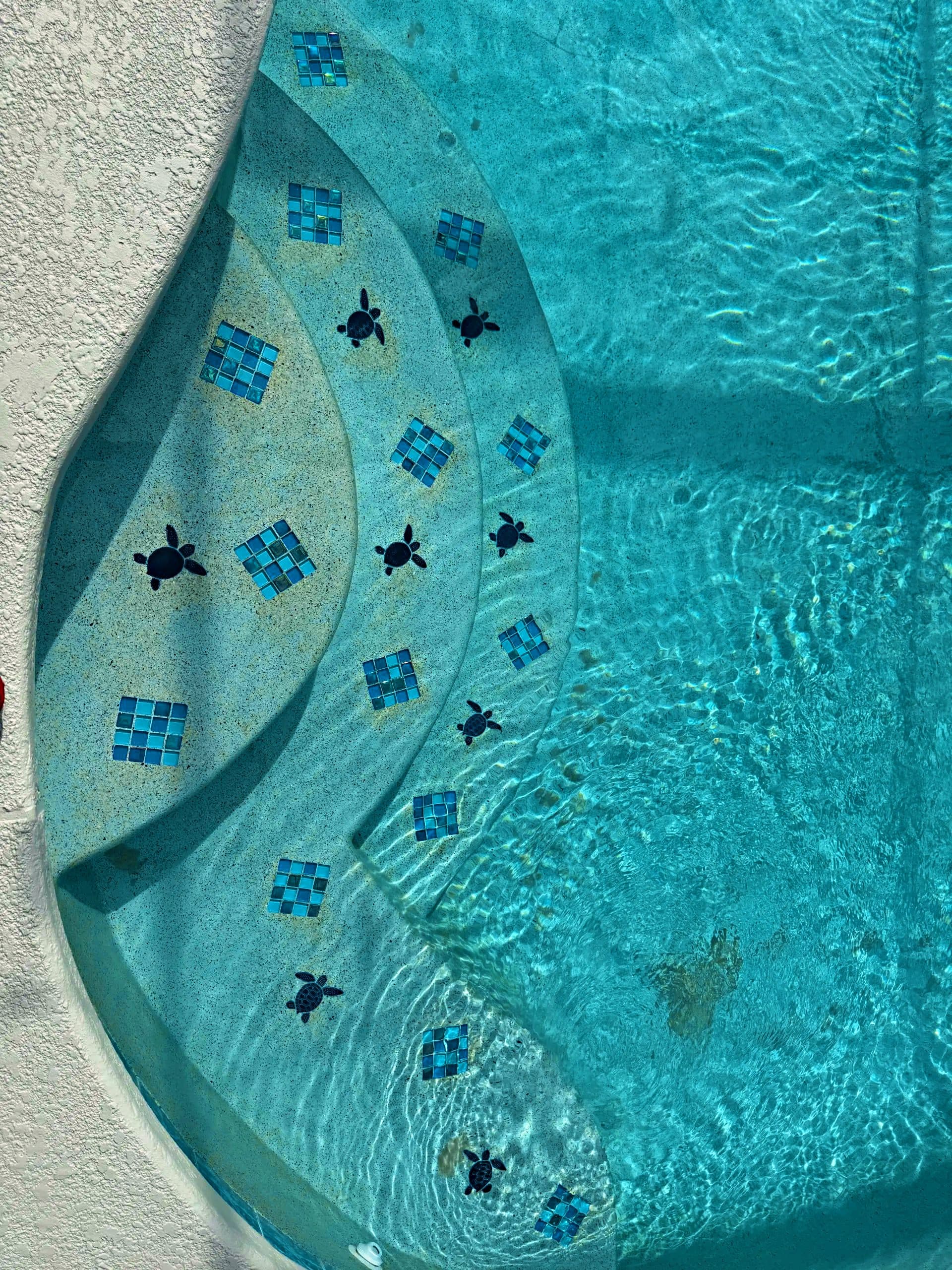 Mosaicos de tortugas marinas en el piso claro de una piscina