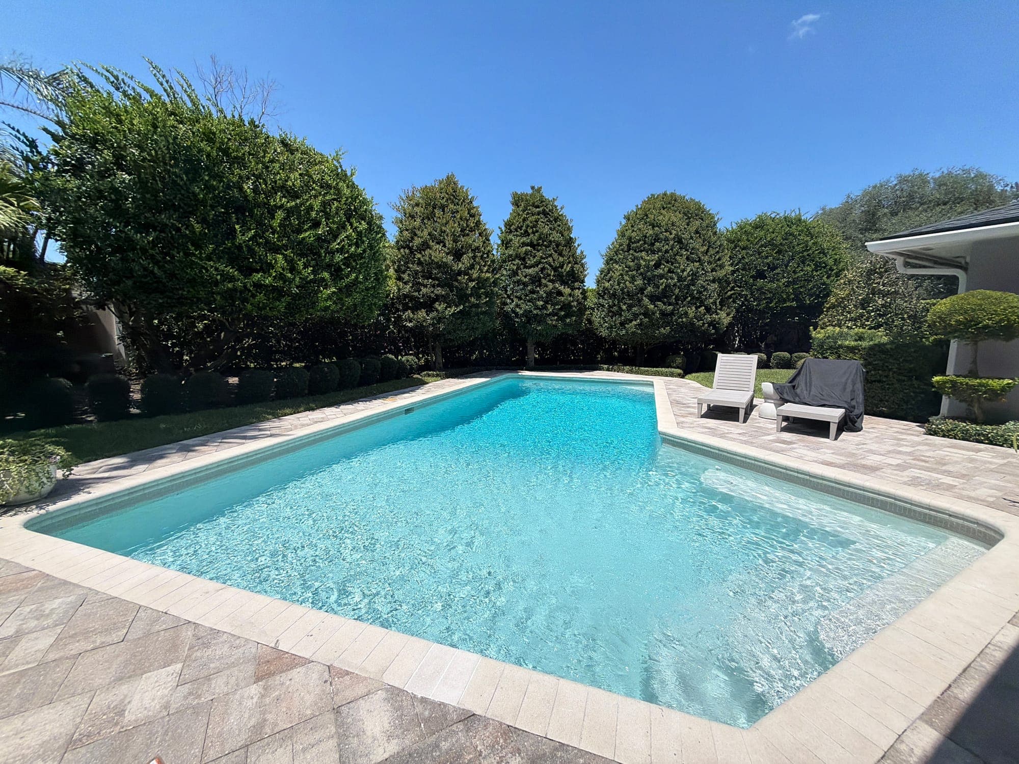 Piscina rectangular grande con acabado claro y terraza de adoquines, rodeada de arbustos