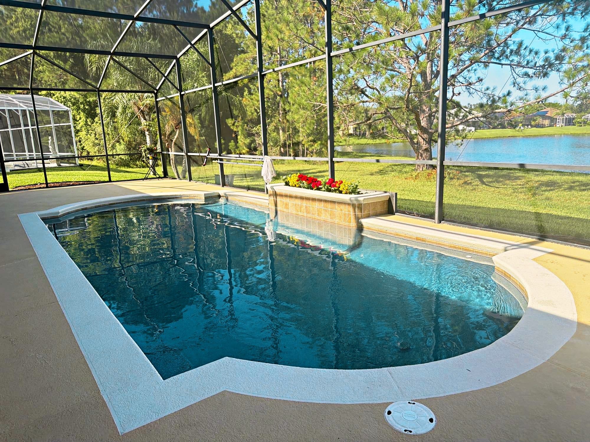 Finished pool under a screen enclosure