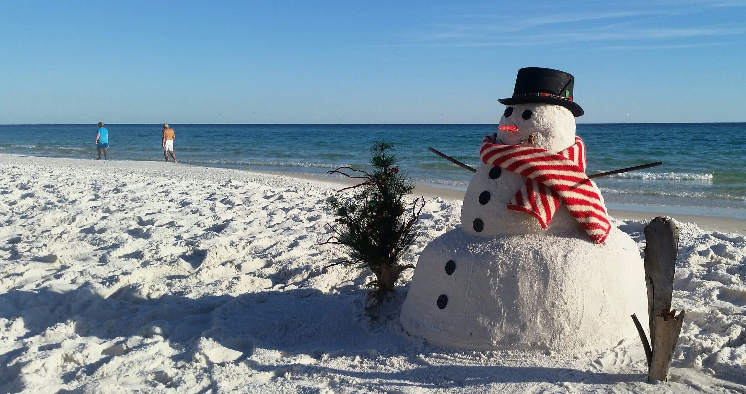 nature in winter celebration on christmas day with 2026 01 09 00 02 50 utc