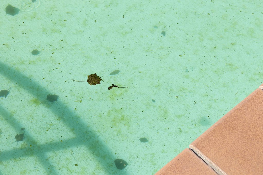 dirty swimming pool background 2026 03 19 08 08 38 utc dirty swimming pool background 2026 03 19 08 08 38 utc